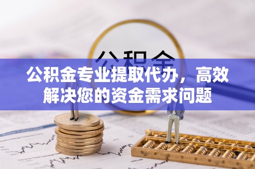 大埤公积金专业提取代办，高效解决您的资金需求问题