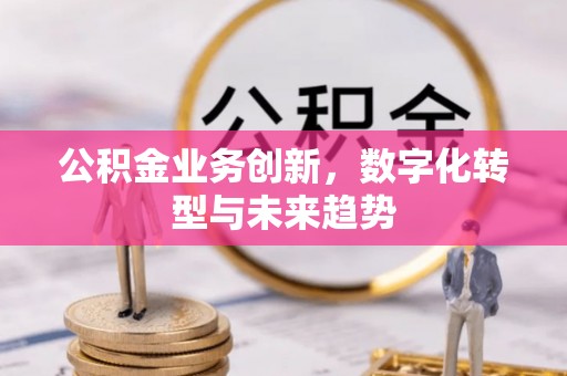 大埤公积金业务创新，数字化转型与未来趋势