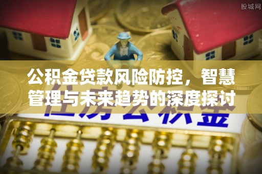 大埤公积金贷款风险防控，智慧管理与未来趋势的深度探讨