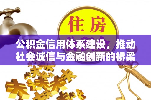 大埤公积金信用体系建设，推动社会诚信与金融创新的桥梁
