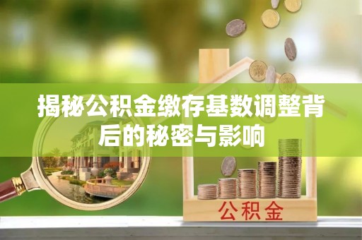 大埤揭秘公积金缴存基数调整背后的秘密与影响