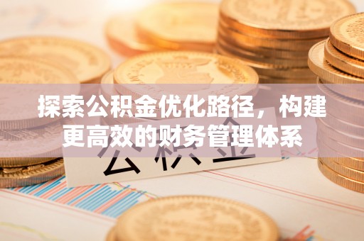 大埤探索公积金优化路径，构建更高效的财务管理体系