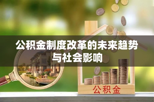 大埤公积金制度改革的未来趋势与社会影响