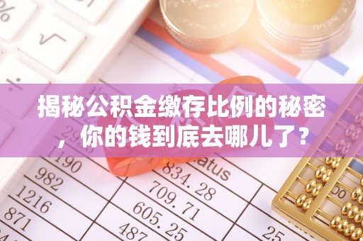 大埤揭秘公积金缴存比例的秘密，你的钱到底去哪儿了？