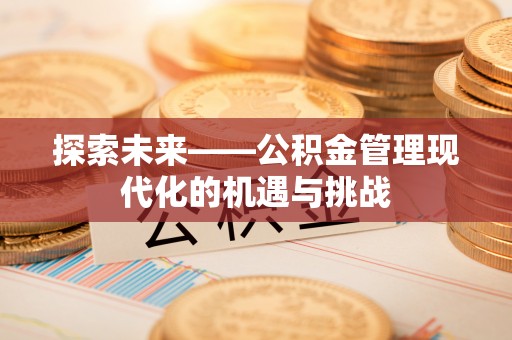 大埤探索未来——公积金管理现代化的机遇与挑战