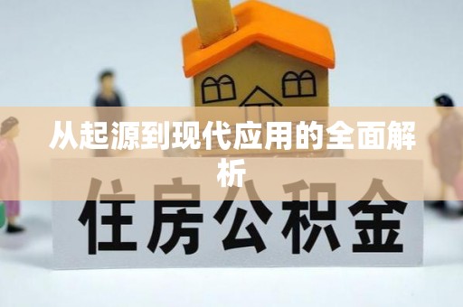 大埤从起源到现代应用的全面解析