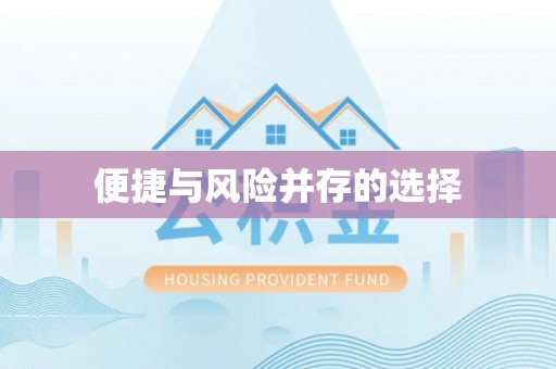 大埤便捷与风险并存的选择