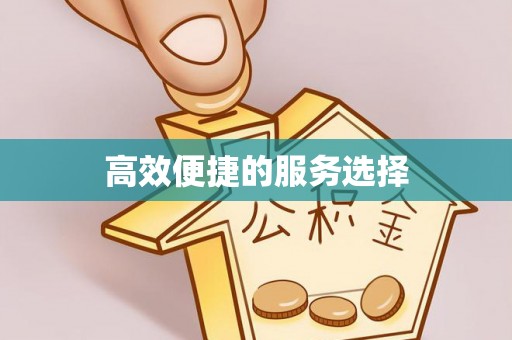 大埤高效便捷的服务选择