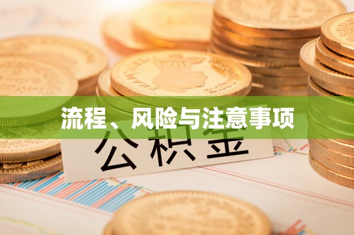 大埤流程、风险与注意事项