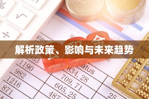 大埤解析政策、影响与未来趋势