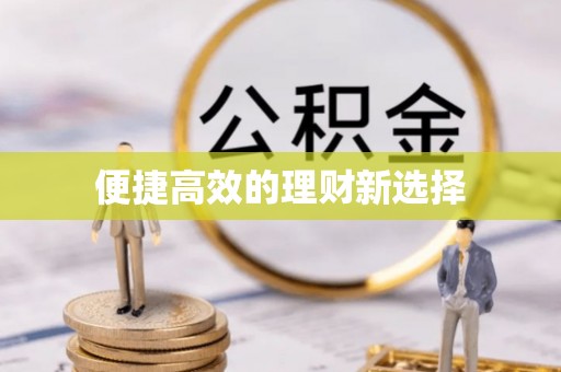 大埤便捷高效的理财新选择