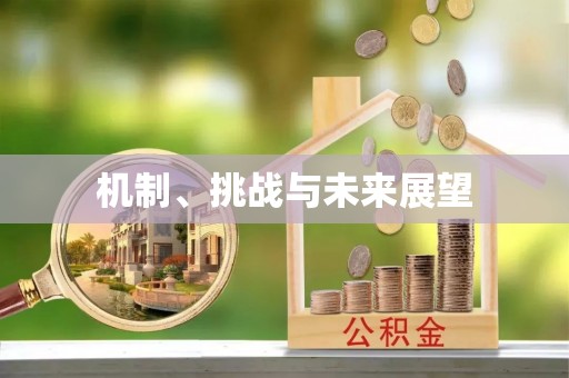 大埤机制、挑战与未来展望